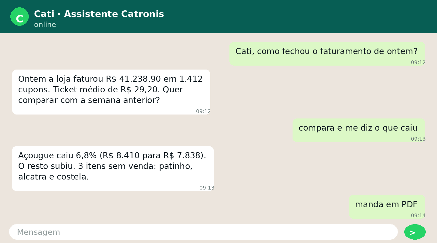 Conversa com a Cati no WhatsApp mostrando faturamento do dia, comparação com a semana anterior e envio de relatório em PDF